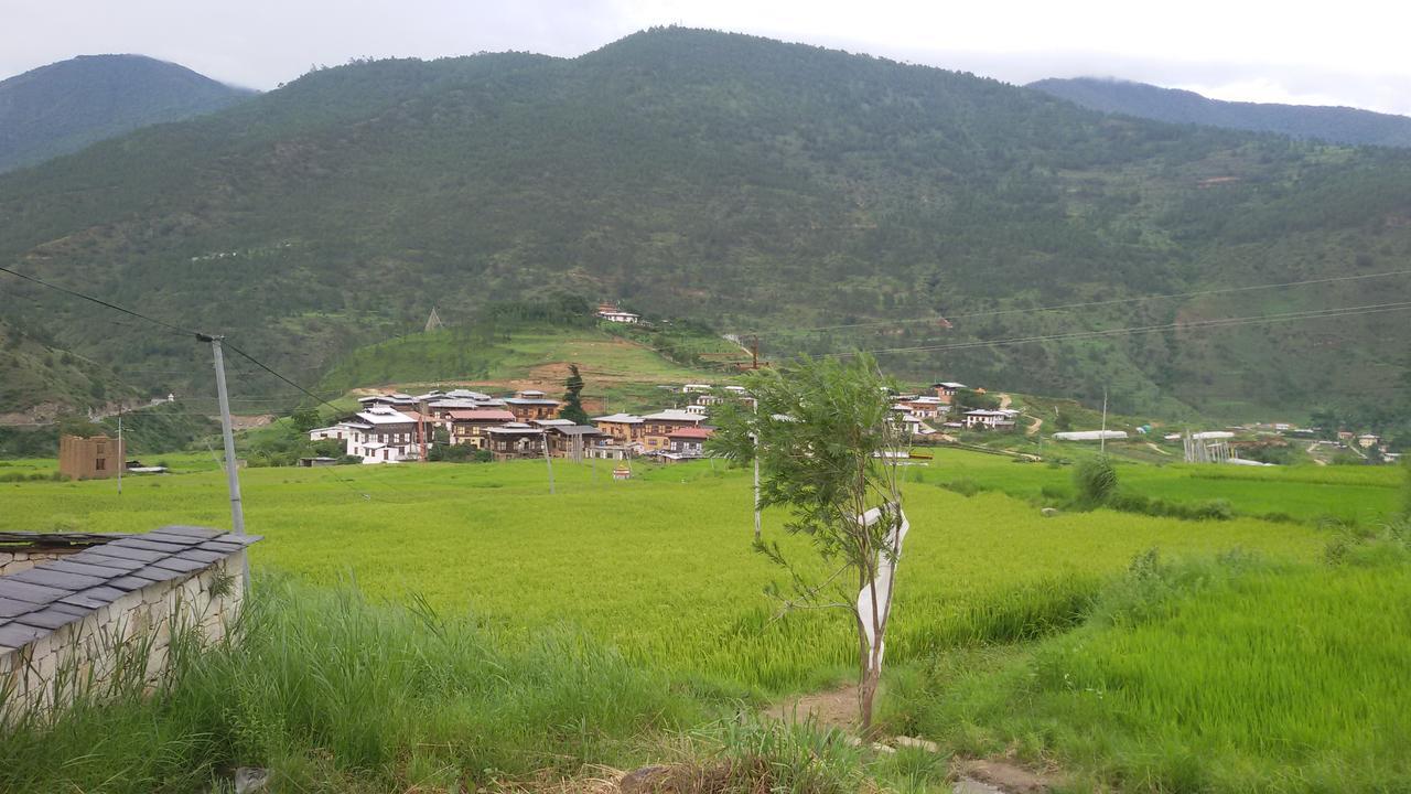 Chimi Lhakhang Village Homestay Punakha Esterno foto