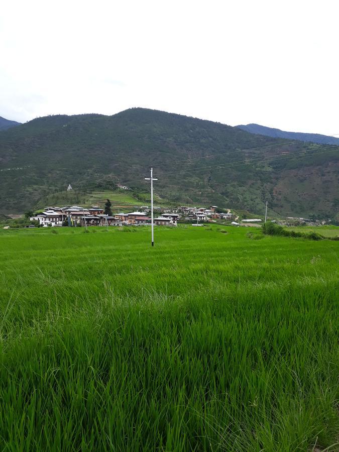 Chimi Lhakhang Village Homestay Punakha Esterno foto